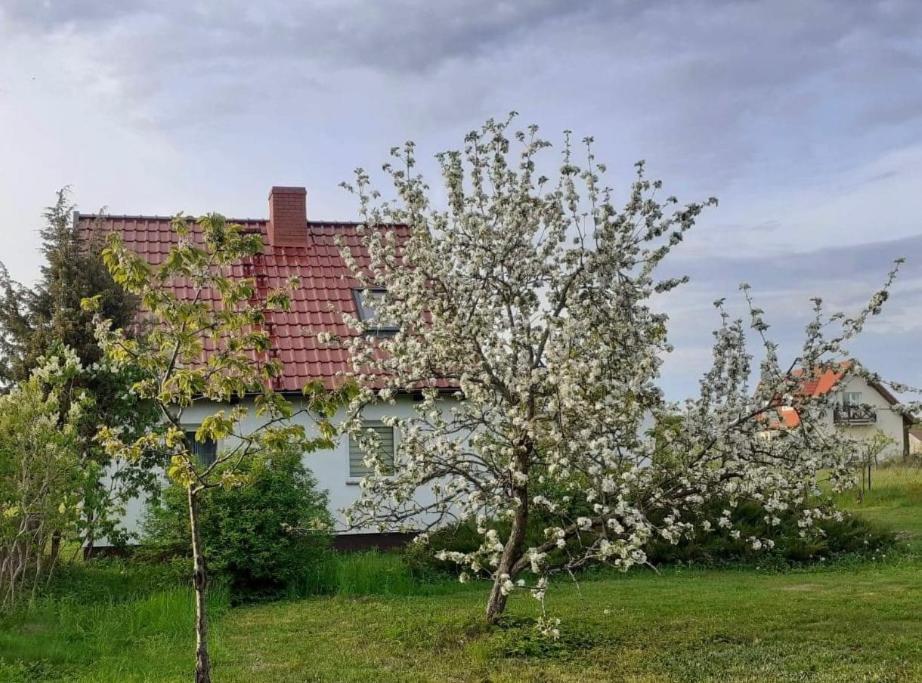 Sleeping Harsz Villa Eksteriør bilde